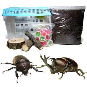 장수풍뎅이 대형 성충 사육풀세트