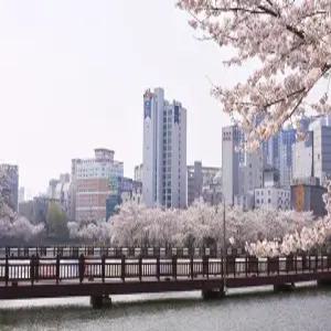 [광주 호텔] 광주 CS 호텔 (상무지구,금호지구,유스퀘어,서구)