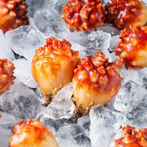 [대한민국농수산] 신선한 통영 활멍게 깐멍게