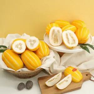 가정용 성주 참외 실중량 2.5kg 꼬마소과