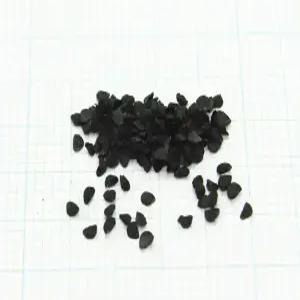 조선부추 씨앗   2000   립