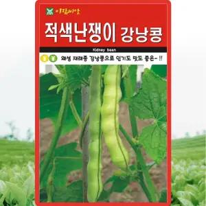 아람종묘 적색난쟁이 강낭콩 씨앗 30g 왜성 재래종 강낭콩씨 종자