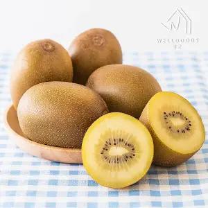 하동직송 고당도 골드키위 5kg(70과내외,중과)