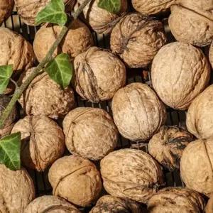 GAP인증 경북 예천 호두 350g 2025년산