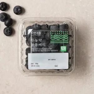 친환경 생블루베리 100g/팩