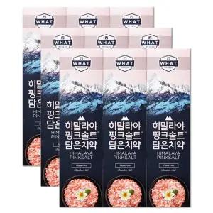 엘지 죽염 히말라야 핑크솔트 담은 치약 플로럴 100g 3개입 X 3개