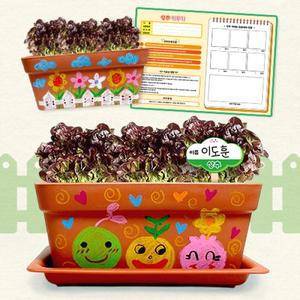 [만들기대장]나만의 채소밭 만들기-상추(관찰기록지포함)