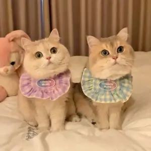 도그웨그 도그웨그 큐티 넥 케이프 강아지 고양이 악세사리