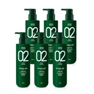 아모스 녹차실감 샴푸 지성 (산뜻한타입) 500g 6개_B