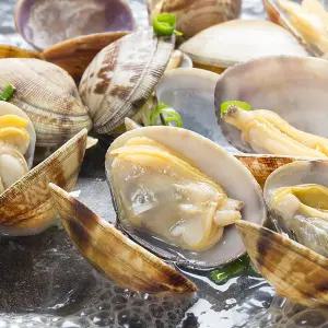 국내산 왕바지락 2kg