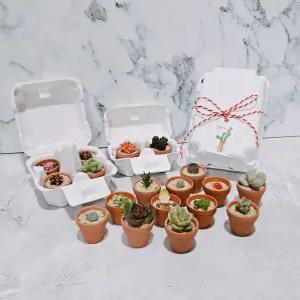 초미니다육 귀여운 계란판세트 가정의달 집들이선물