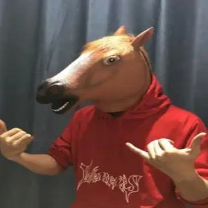 말탈 마스크 가면 말머리 코스프레 컨셉 코스튬 변장