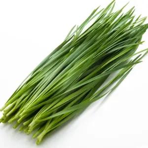 국내산 부추 (특) 4kg 2박스