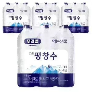 생수전문배송 강원평창수 무라벨 2L 24병