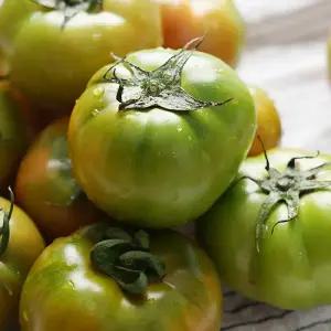 특품 산지직송 대저토마토 2.5kg(L-2L)/대과