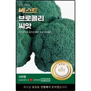 베스트 브로콜리 씨앗 100립 고구형 숙기 빠른 조생종 브로콜리씨 종자