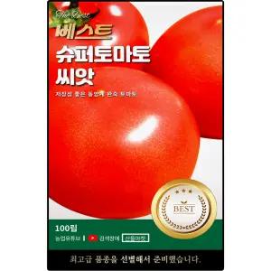 베스트 슈퍼 토마토 씨앗 100립 저장성 좋은 완숙 토마토씨 종자