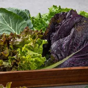 GAP인증 쌈채소 모듬 4종 1kg /KL