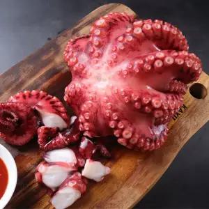 필리핀 손질 자숙 문어 데친문어 제수용 900g급