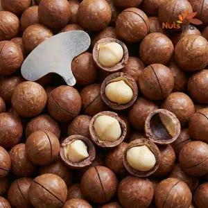 [넛츠피아]까먹는 통 껍질 마카다미아 1kg 견과류