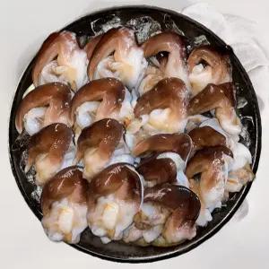 [여수발송] 최고급 손질 새조개 자연산 / 600g