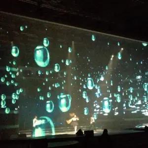 호환  2025 신형 홀로그램 프로젝션 메쉬 스크린 그레이 3D 홀로그램 효과 메쉬 거즈 프로젝터 무대 스크린