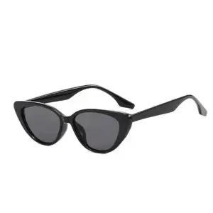 여름 241CTS21 캣아이선글라스 뿔테안경 굵은 포인트 선글라스