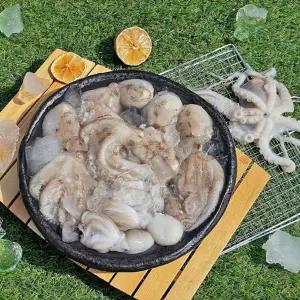 쫄깃한 식감 가득 탱탱 알주꾸미 1kg 신선 생물