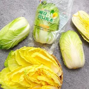 [해남미소] (주)정가 농업회사법인 베타 미니배추 2kg(3포기)