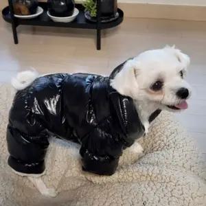 펫파마 강아지 유광 롱패딩 몸전체를 따뜻하게 외출 산책 필수템 바람막이 애견 패딩 점퍼