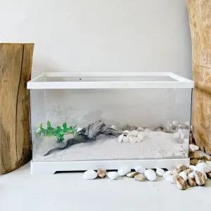 안깨지는 폴리카보네이트 어항 물고기 수족관 구피 베타 우파루파 거북이 키우기