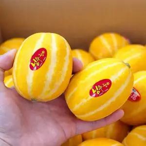 경북 성주 초미니 콩알 참외 3kg