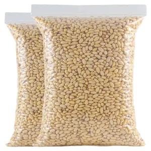 잣 1kg 선물 1키로 수입잣 오리지널 생잣 견과류