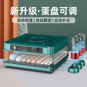 자동 키우기 계란 부화장 거의 인공 메추라기 부하기 농장 미니 비둘기 병아리 동물