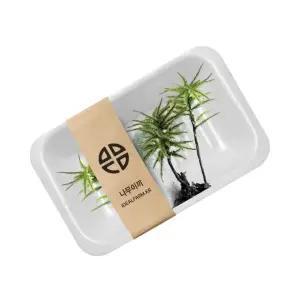 잇템 나무이끼 인기