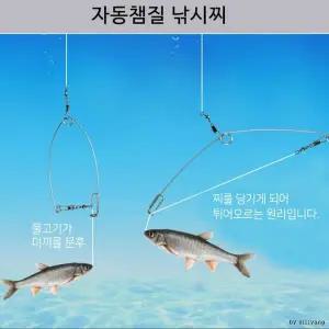 [골드스마일]바다 민물 자동낚시찌 자동챔질 낚시소품 바다 민물 미끼 낚시
