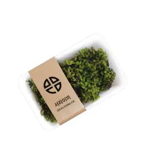 잇템 서리이끼 인기