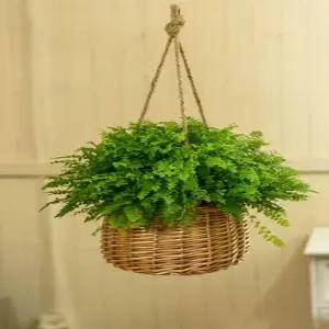 Haeif 테라스 가림막 캐노피 창문차양 천막 꾸미기