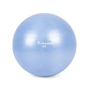 아이워너 안티버스트 파스텔 짐볼 65cm 라벤더 실내운동