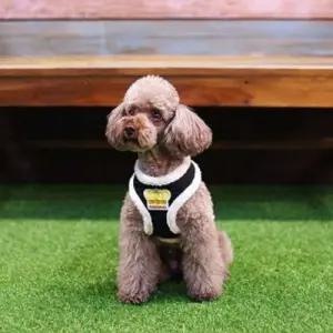 강아지 하네스 리드줄 가슴줄 몸통줄 산책줄 블랙