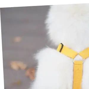 SPS 반려동물 산책 필수품 애견하우스 목줄 소형견 중형견 가슴줄 H형 하네스