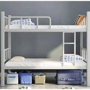 이층침대 철제 프레임 성인 이층 침대 원룸 자취 게스트하우스 몽땅