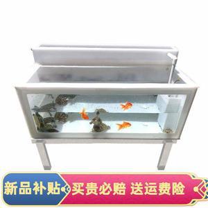 세트 물고기 열대어 대형 수족관 거북이 수조 관상어 구피