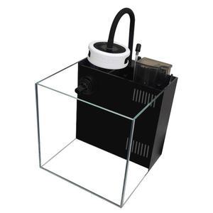 해수 어항 해수어 니모 매직카펫 30x30x30 인테리어 전용 20스퀘어 22CM