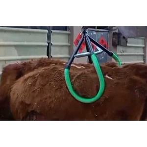 리프트 송아지 견 분만 스텐 분만기 축사 분문 출산 집게 난산도움기 하중