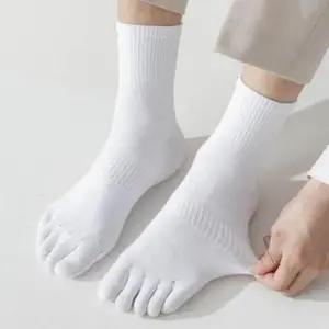 남자 발가락 양말 면썅성 우수한 양말 베이직 디자인 데일리 삭스 여름에 좋은 땀흡수 양말