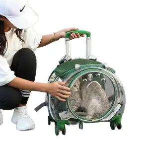 고양이 이동장 투명 애견 강아지 기내용 백팩 캐리어