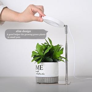 전체 스펙트럼 실내 태양광 LED 성장 조명, 4단 기어 디밍, 다육성 Viridiplantae, 꽃 바닥 텔레스코픽 채
