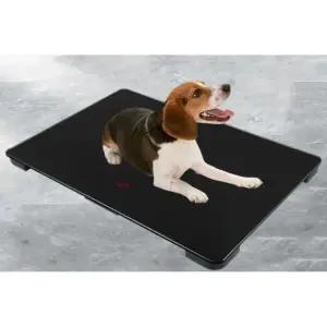 대형견 체중계 동물병원 반려동물 측정기 반려견