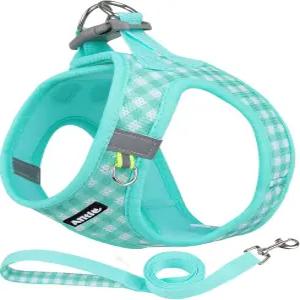 AIITLE 노 풀 도그 하네스 및 목줄 세트 초크 소프트 메쉬 하네스에 발을 들여놓아 초소형 강아지와